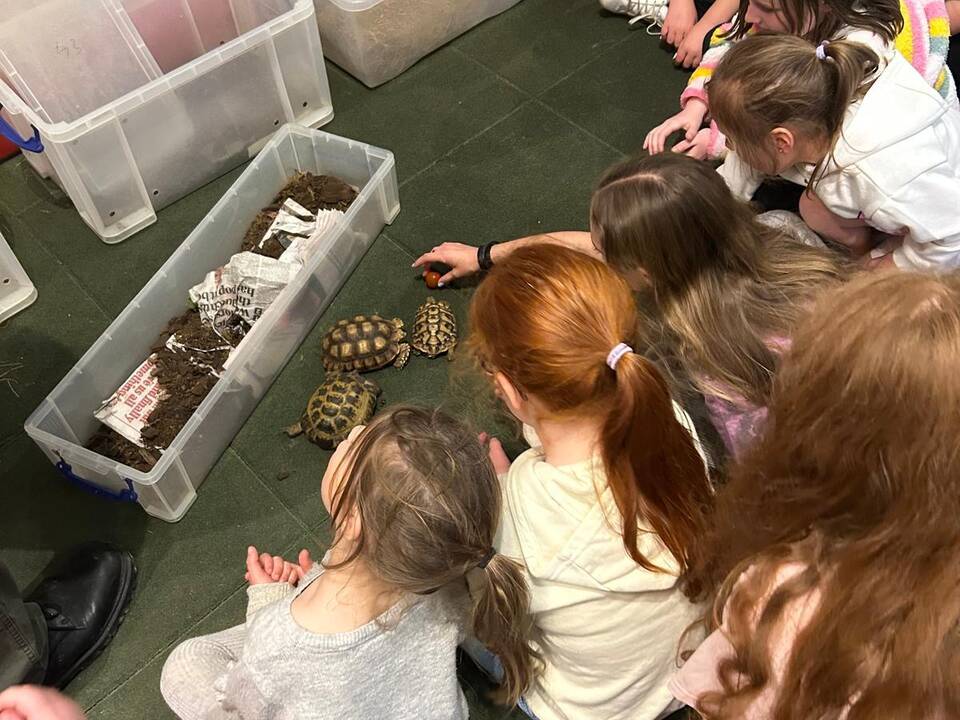 PHOTO 2025 04 21 14 16 20